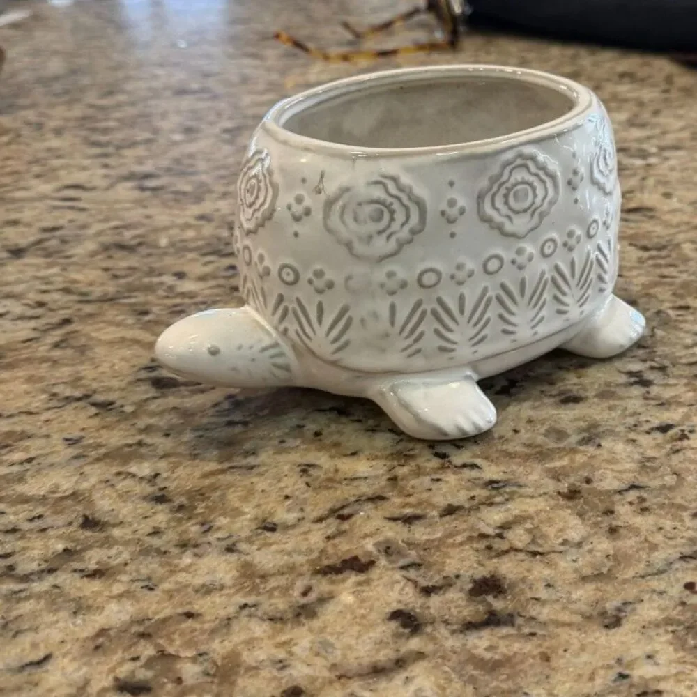 Anthropologie White Ceramic Turtle PlanterEmbossed Succulent Pot Coastal Boho